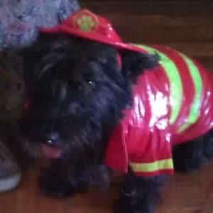 Meet your Posher, Enid